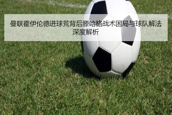 img_1781719463779_587_1_803.jpg