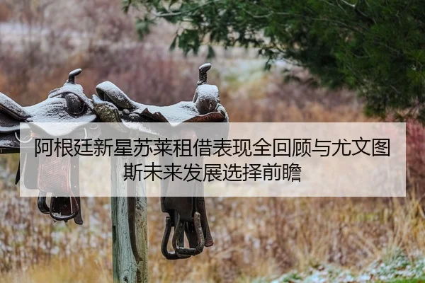 阿根廷新星苏莱租借表现全回顾与尤文图斯未来发展选择前瞻